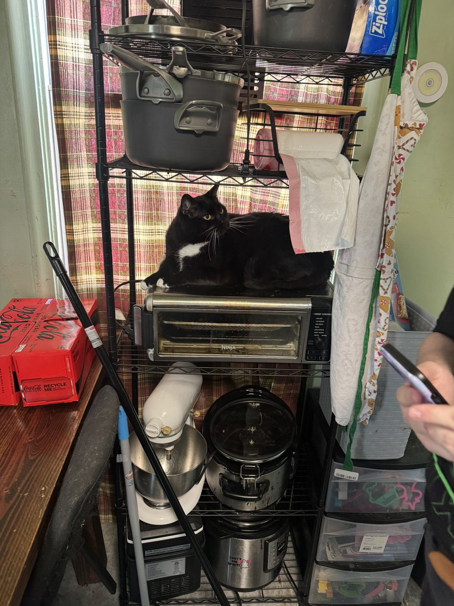 Sir why are you on the air fryer