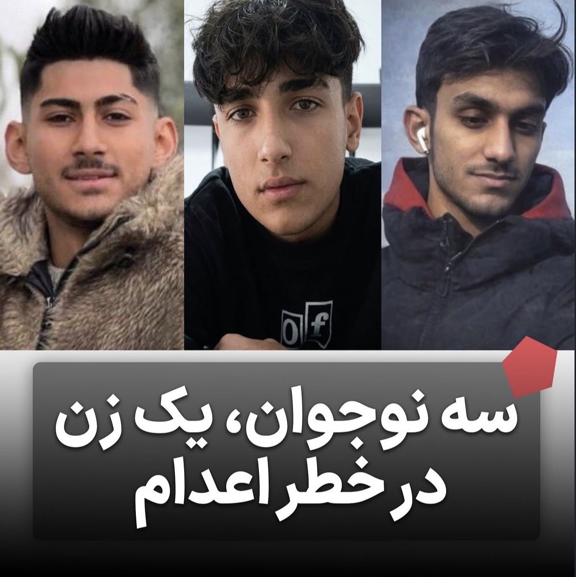 دل وین tweet media