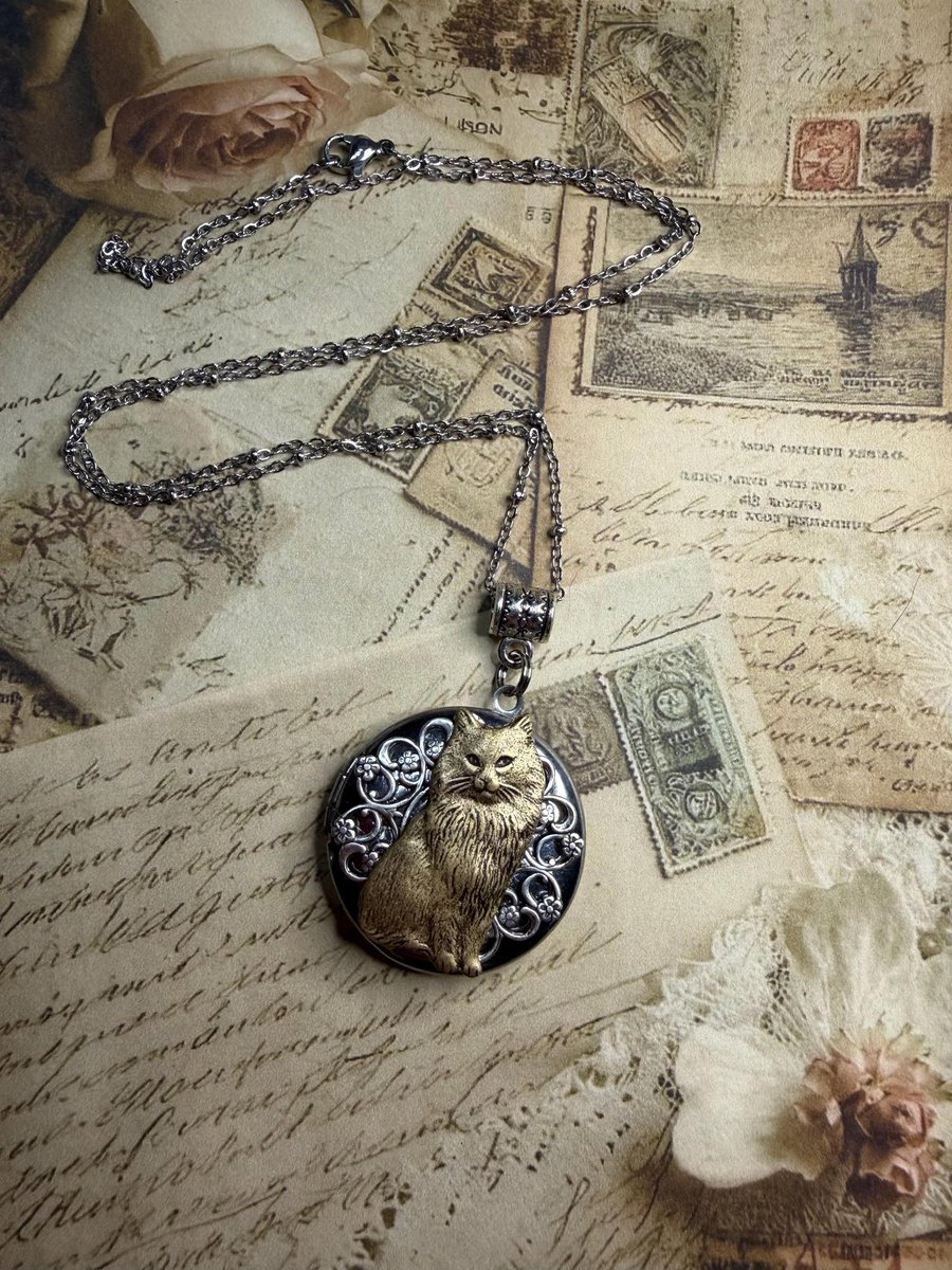 Witschy's tweet image. Cat Photo Locket Necklace: Elegant cat lover jewelry  
witchywoman.etsy.com/listing/449791…
#giftideas #giftsforher #mothersdaygift #etsyshop #cats #catlovers #shop #handmadejewelry #catlady