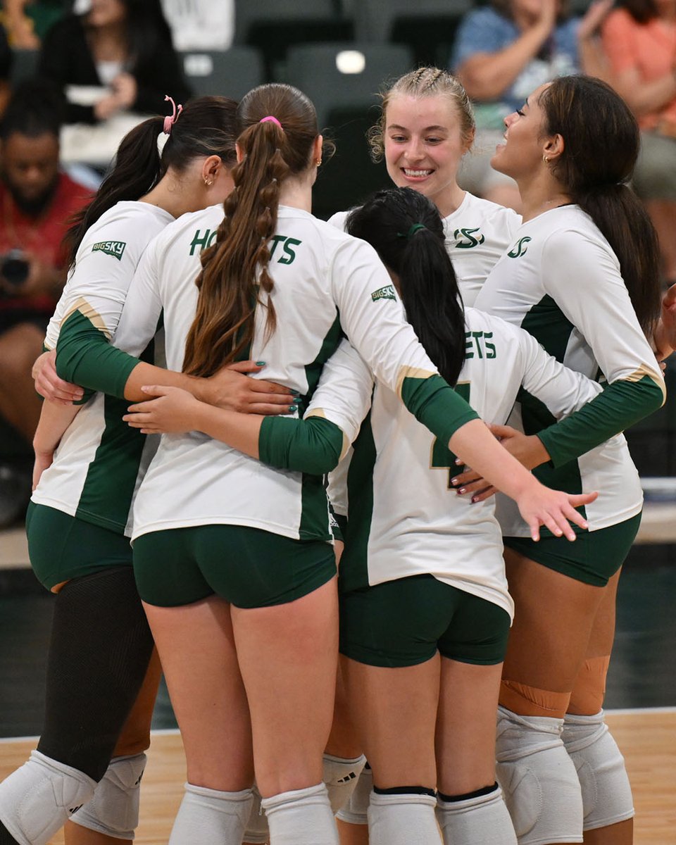 Sacramento State Volleyball tweet media