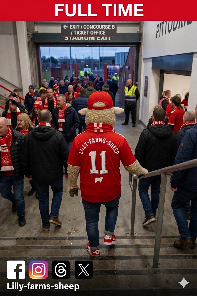 LillyFarmsSheep's tweet image. 2-2 #aberdeenfc