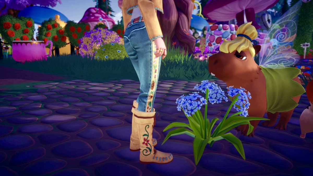 🌸BeLLa-ComftyChaos🌸 tweet media