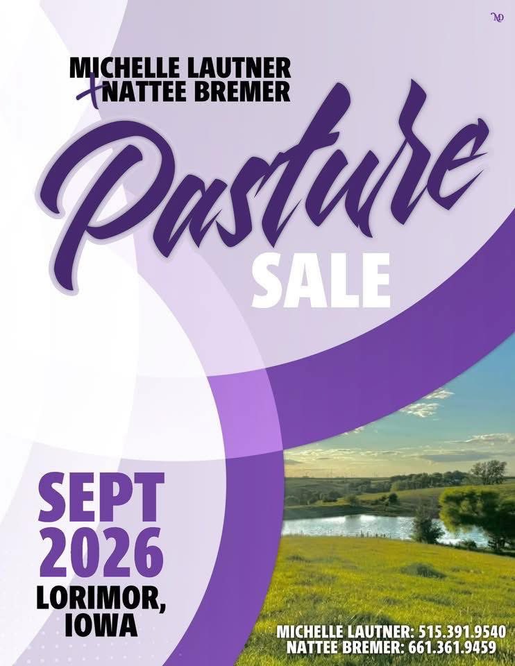 mattlautner's tweet image. #MaineAttraction #Colorado 

From Randy &amp;amp; Joy Boocco : Northwest, Colorado 

Maine Attraction Female Sold To Michelle Lautner &amp;amp; Nattee Bremer, Iowa (Not Pictured) 

Watch For Her As Tag 9 On MLC Pasture Sale September 15, 2026 In Lorimor, Iowa

🇺🇸

#OrderToday #NationwideShipmemt