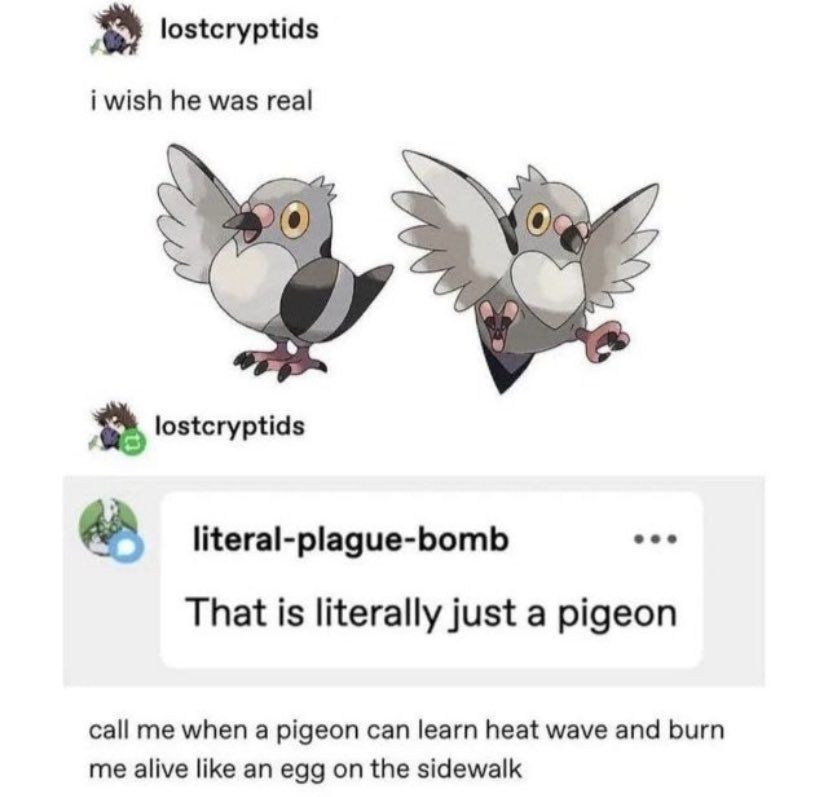 Pokémon Daily tweet media