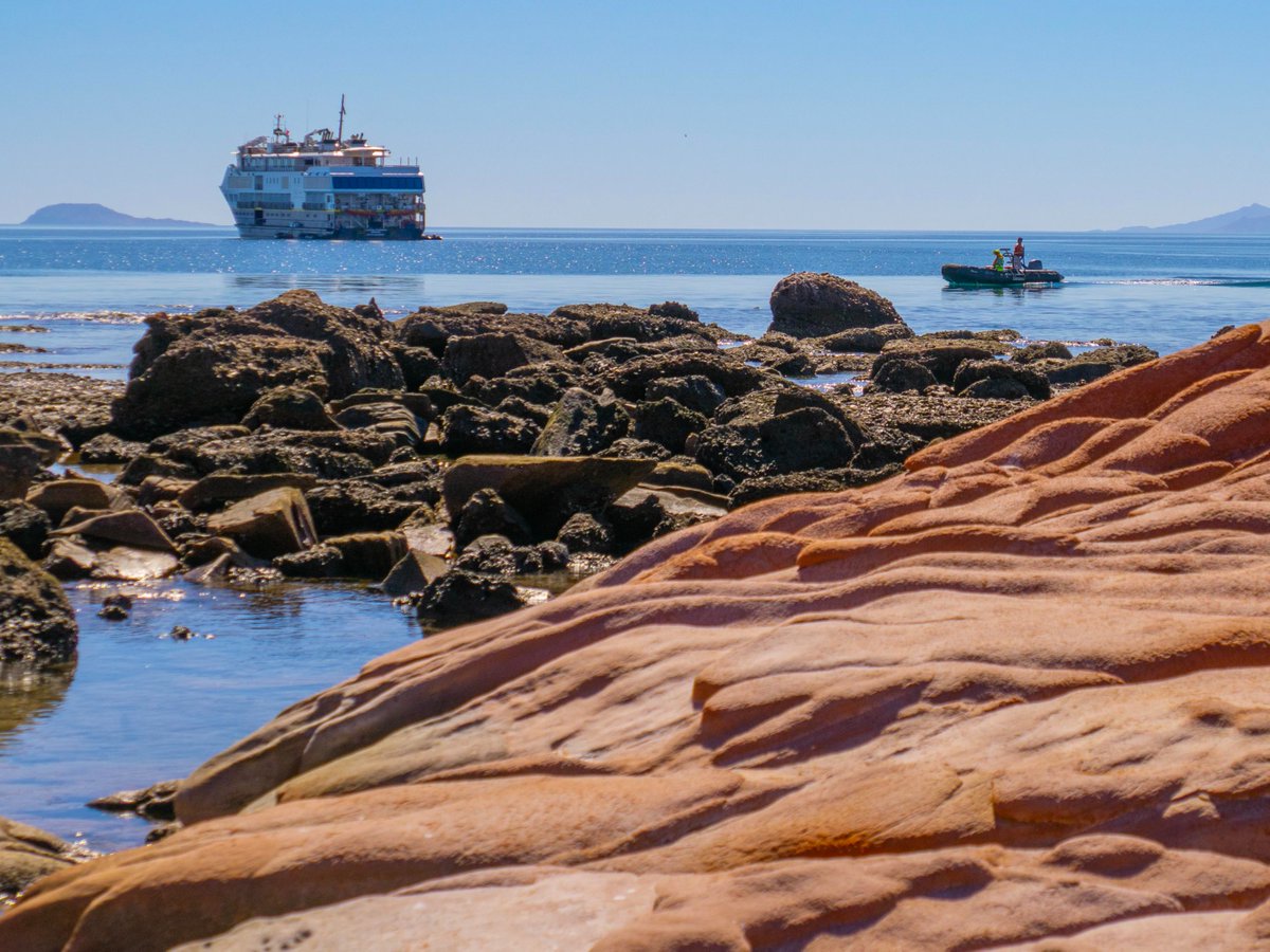 Lindblad Expeditions tweet media