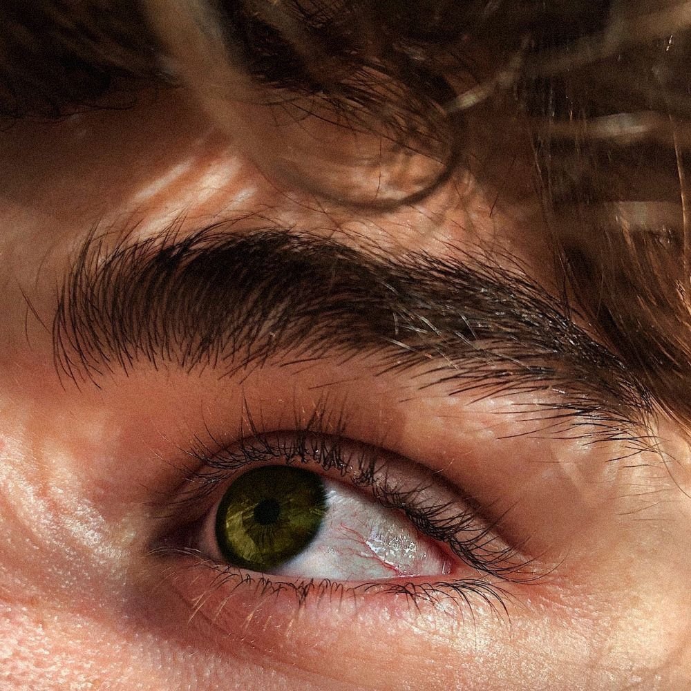 Elias🌲𓌏▌ tweet media