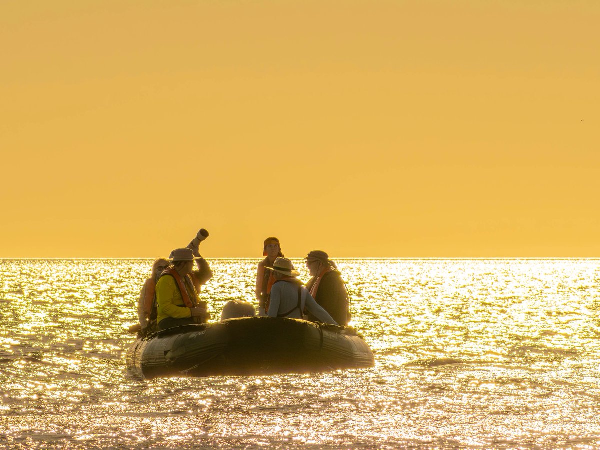 Lindblad Expeditions tweet media