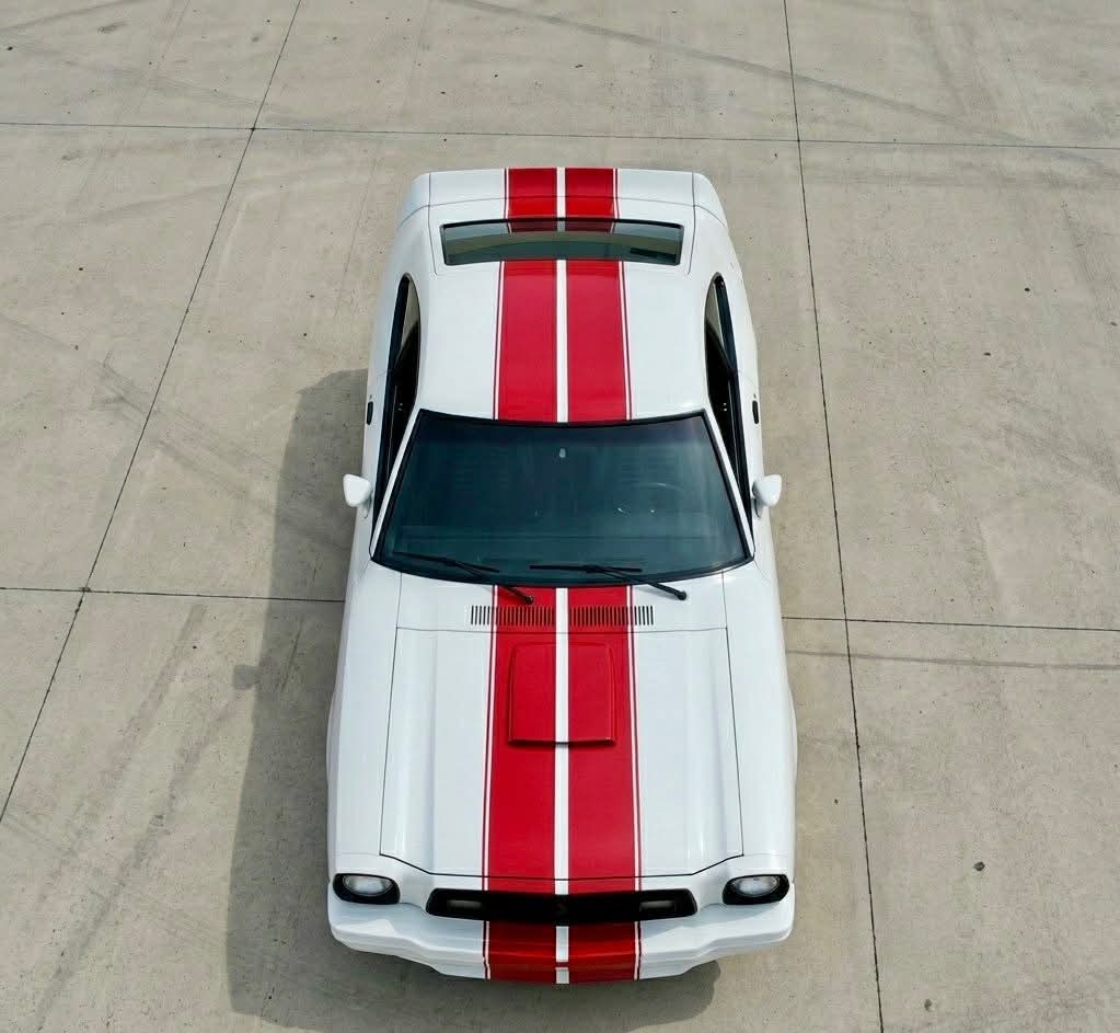 MustangRTeam's tweet image. #Mustang