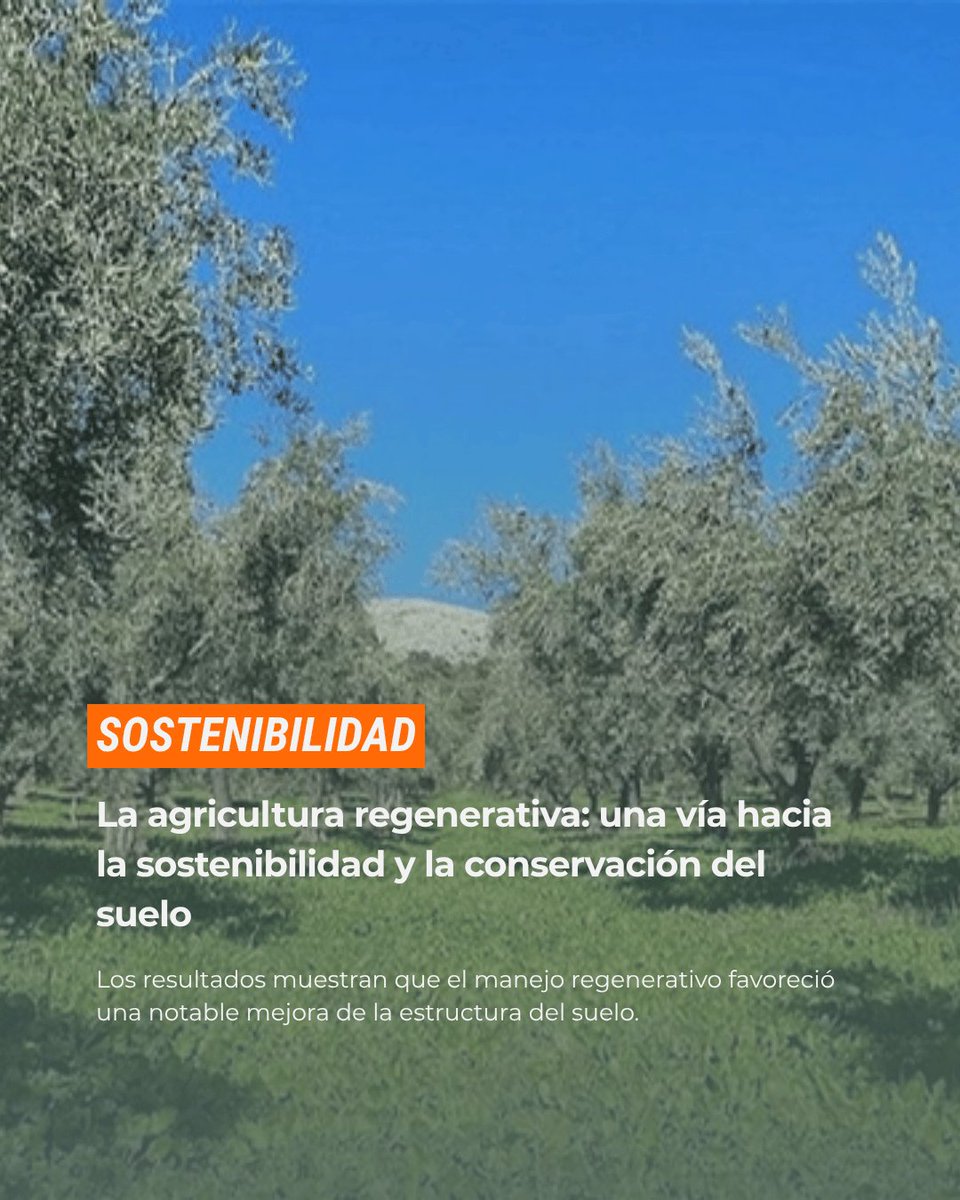 La Huerta Digital 📱 tweet media