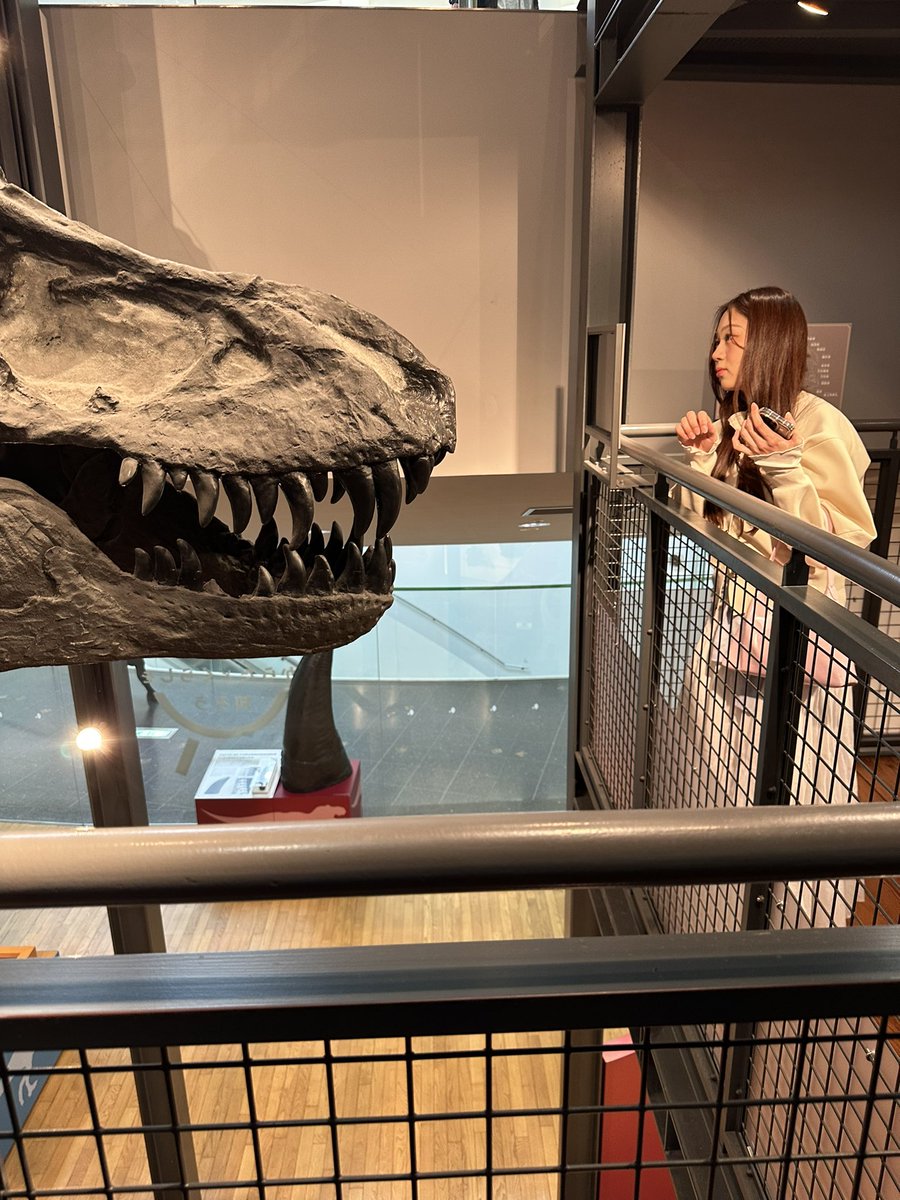 chanoma_namikei's tweet photo. 福井県の恐竜博物館めっちゃ良かったからまた行きたいなぁ
入場料も安いし恐竜好きな人は絶対行くべきやし
恐竜好きじゃない人も行ったら好きになるから行くべき！
妻はここから恐竜大好きになりました https://t.co/N9kO8jFLYW