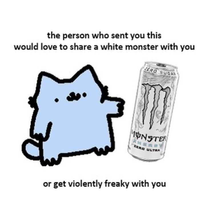 Kikithehusky tweet media