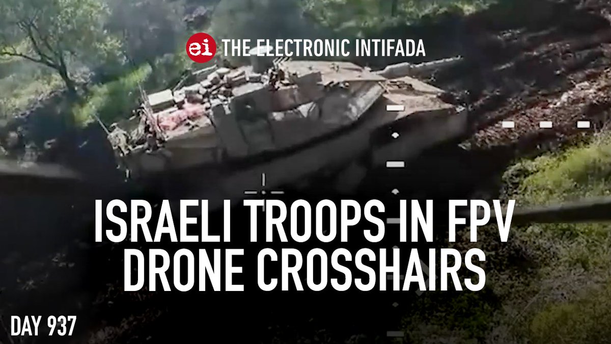 Electronic Intifada tweet media