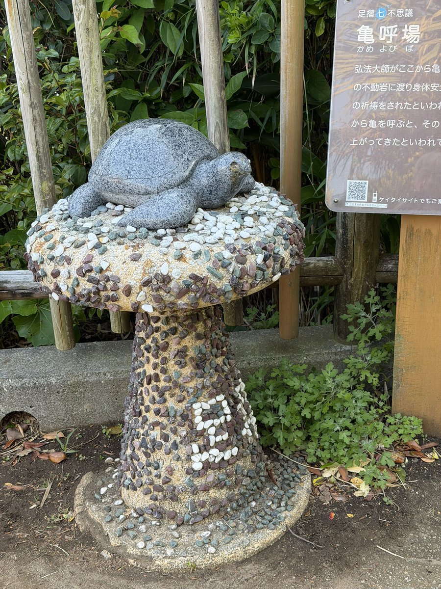 カノン🎊ユア パパ tweet media