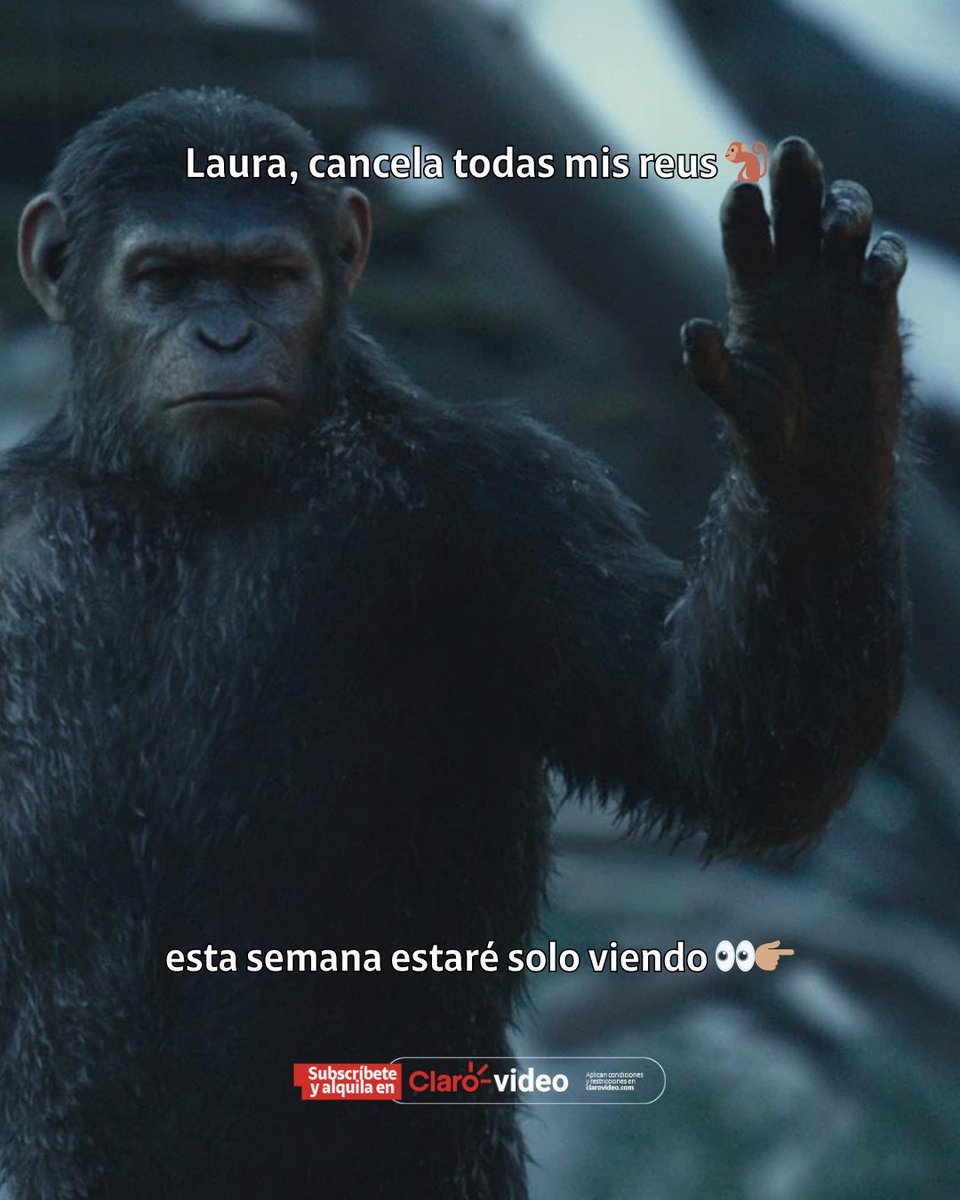 ClarovideoCO's tweet photo. Me encantan los días de descanso y pelis perfectas para estas mini vacaciones. 🫣🫢​

#ElPlanetaDeLosSimiosNuevoReino #Constantine​ #LambsOfGod #LaMonja #ÁngelesYDemonios https://t.co/efdYdCYrx2