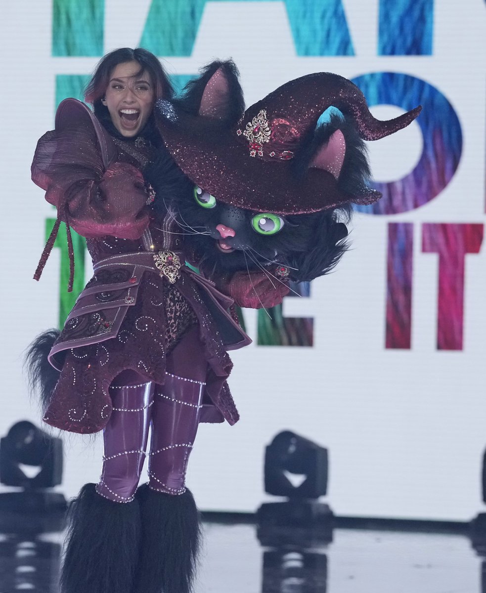 The Masked Singer tweet media