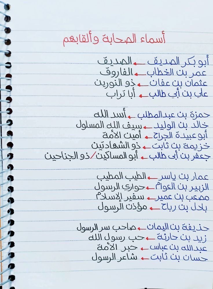 نوره..🧪 tweet media