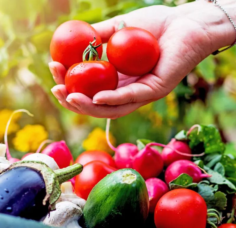 webannuities's tweet image. THESE 5 VEGETABLES ARE SET TO SPIKE IN PRICE THIS YEAR – GROW THEM NOW TO SAVE ON GROCERIES
Read:  buff.ly/PXMN50L 
#retire #retirementplanning #retirement