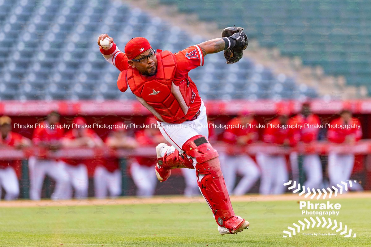 phrakephoto's tweet image. Yeremi Villahermosa (72) C Angels IFA 2019 VZL
@YeremiVillaher1
#angels #LAAngels #angelsbaseball #GoHalos #VamosHalos #halos #thehaloway #repthehalo
@AngelsMiLB
@_HaloLife
@BeyondTheHalo