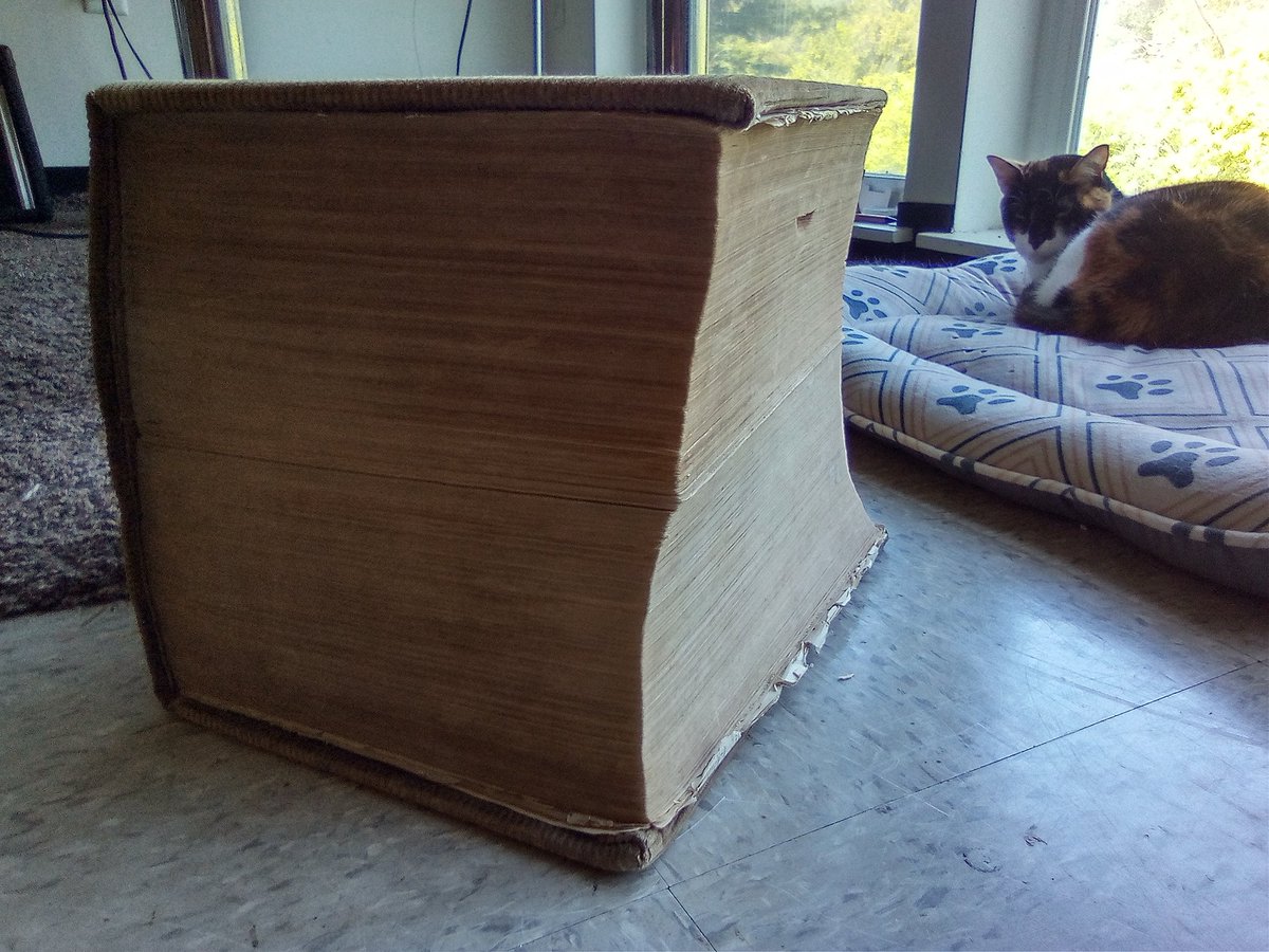 Foundring 🇺🇸 tweet media