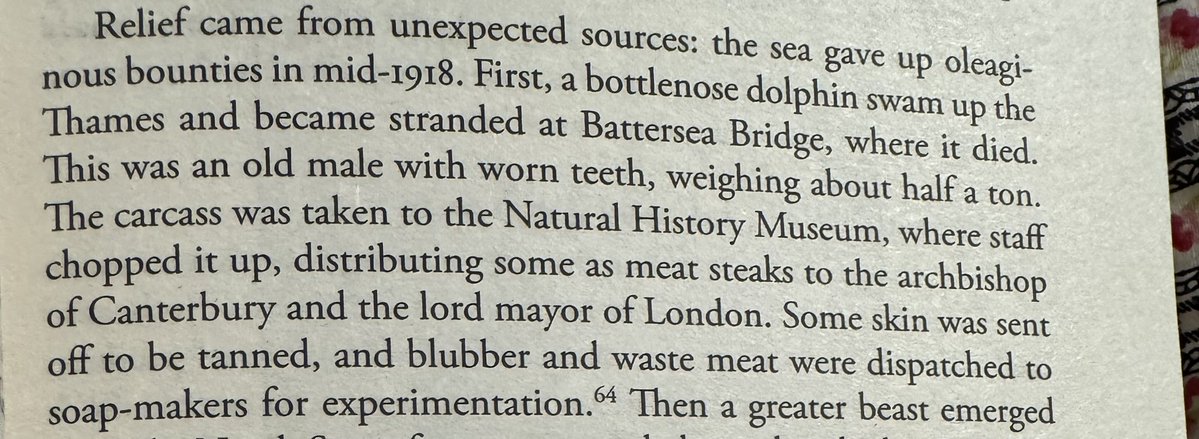 Barb_Drummond's tweet image. More from @Rummage #Wartime #recycling #BottleNoseDolphin