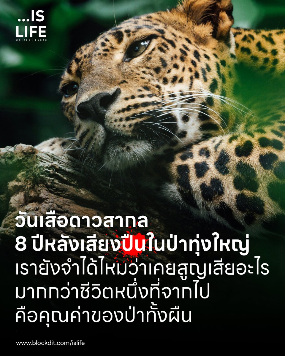 Islife.WriteonEarth tweet media