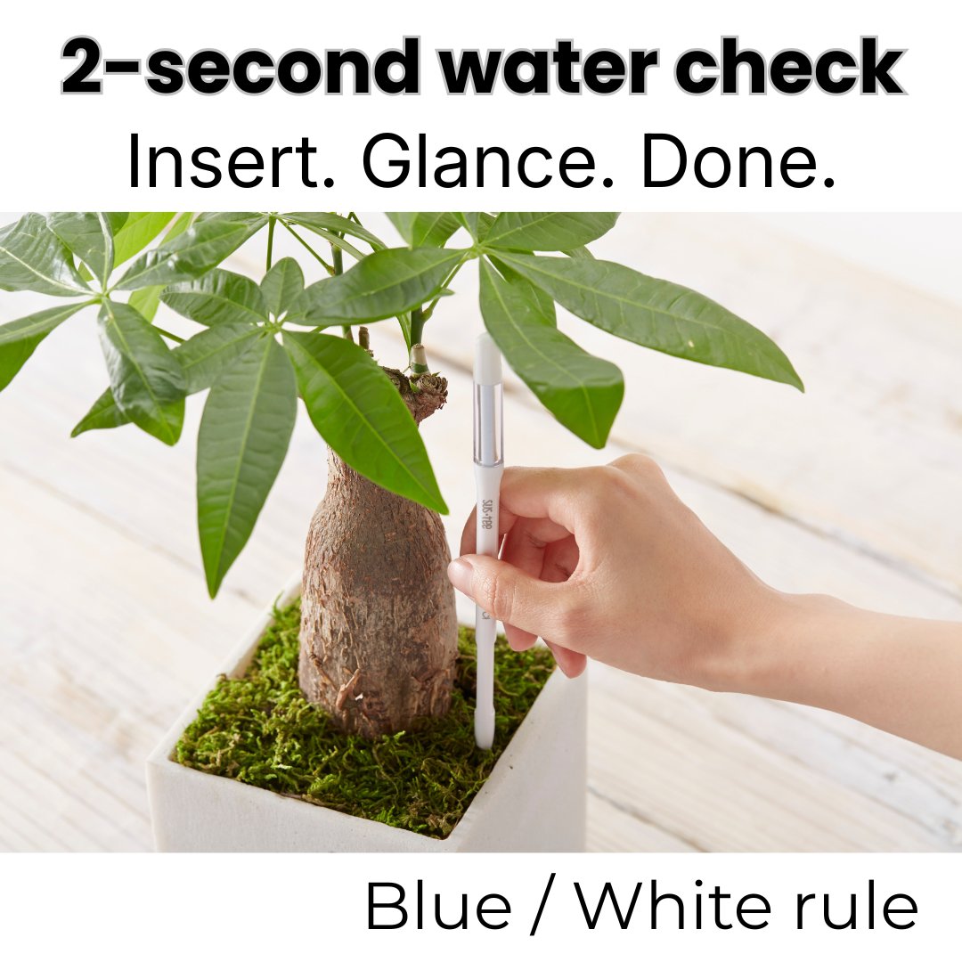 timecirclre's tweet photo. 2-second water check ✅
Insert once, then just glance at the colour.

Overwatering or forgetting—what’s your main issue?
#Houseplants #Australia https://t.co/N0J7wSGiRI