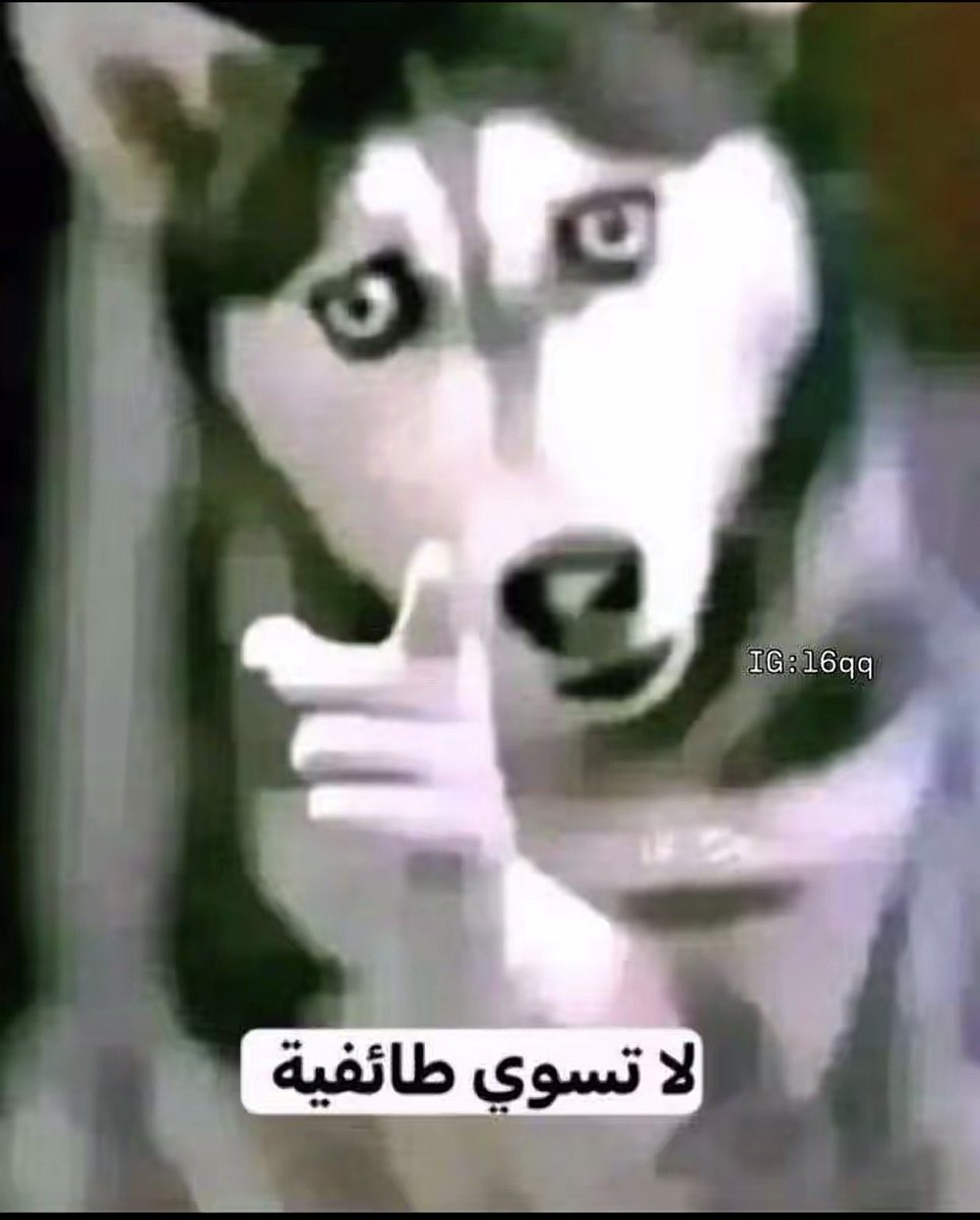 د.عَ tweet media