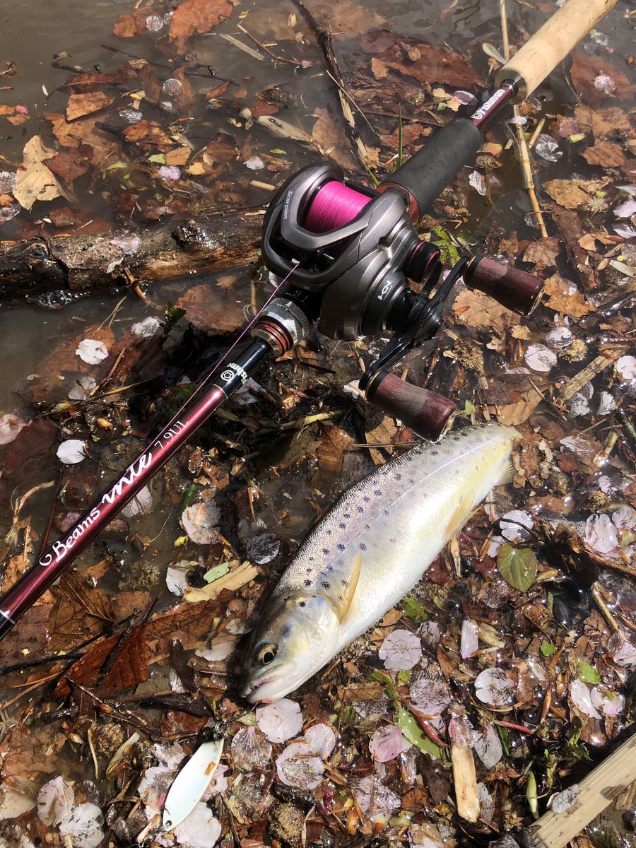 zisakukebari59's tweet image. 前回の釣りでPEが限界を迎えたので交換してちょい釣り🎣どこの川も昨日の雨で泥濁りだけど何とかなりそうな場所に入ってブラウンGET😄コンビニの淹れたてコーヒーを魔法瓶に入れて釣り場に持ち込み山の中でコーヒータイム☕️これなまら良いわ✨
