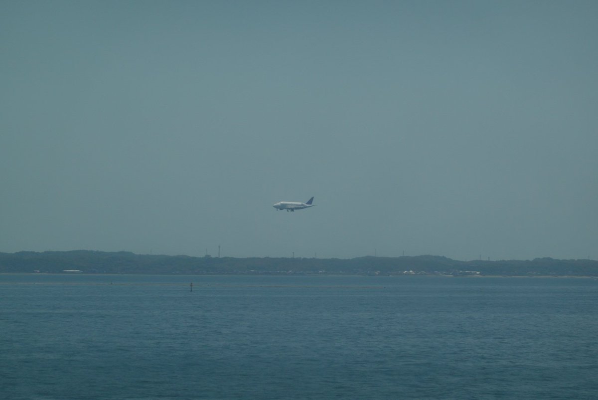 あまり見たこと無い形の飛行機がちょうど着陸するところでした