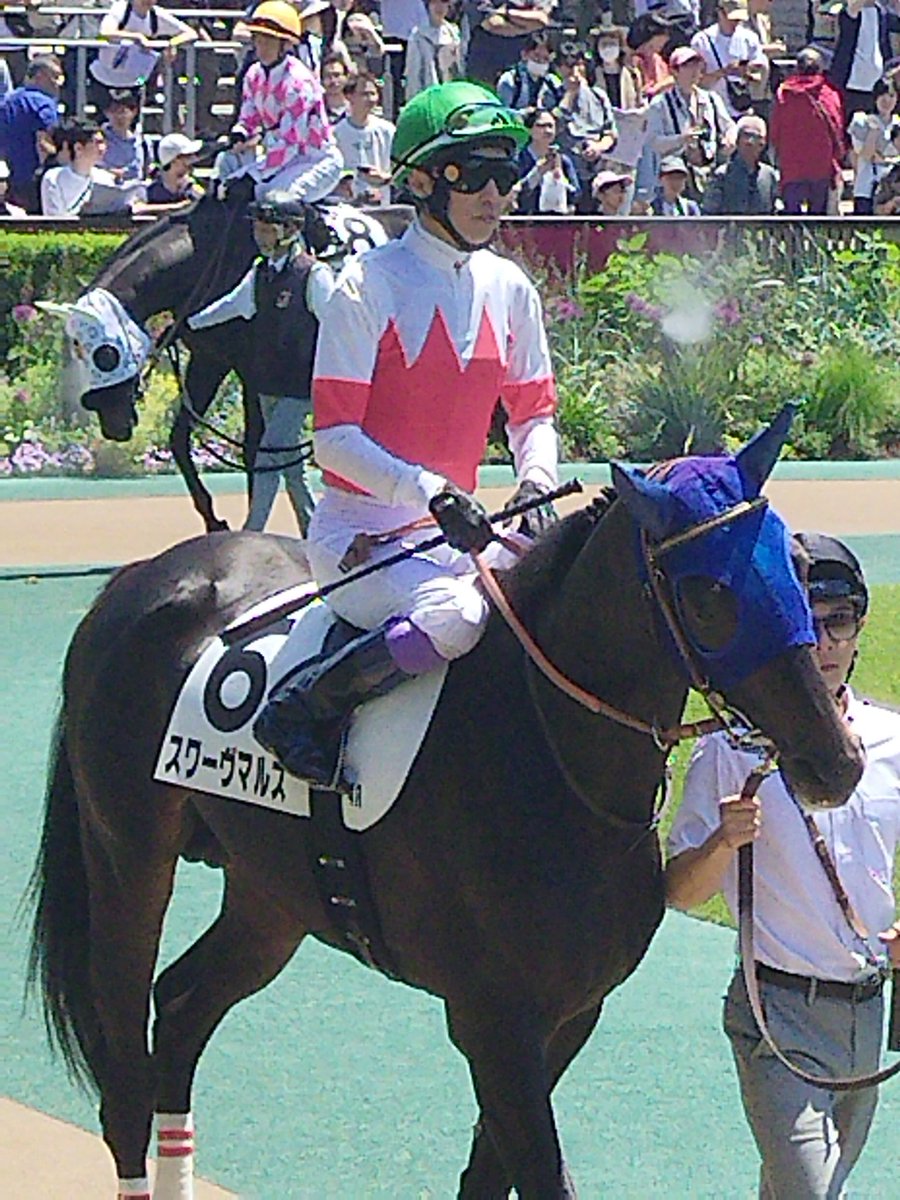 isokan0106's tweet photo. 久々の東京競馬場

#東京競馬場
#武豊 https://t.co/SfknFewVfP