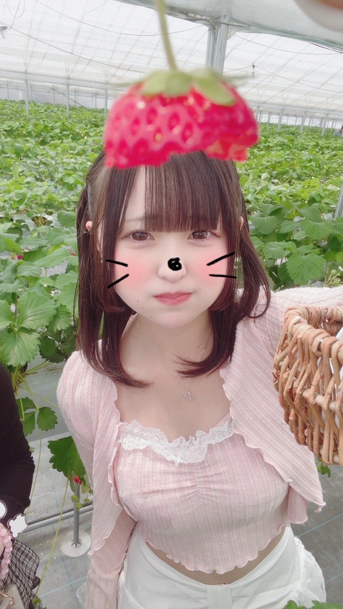 うさ tweet media