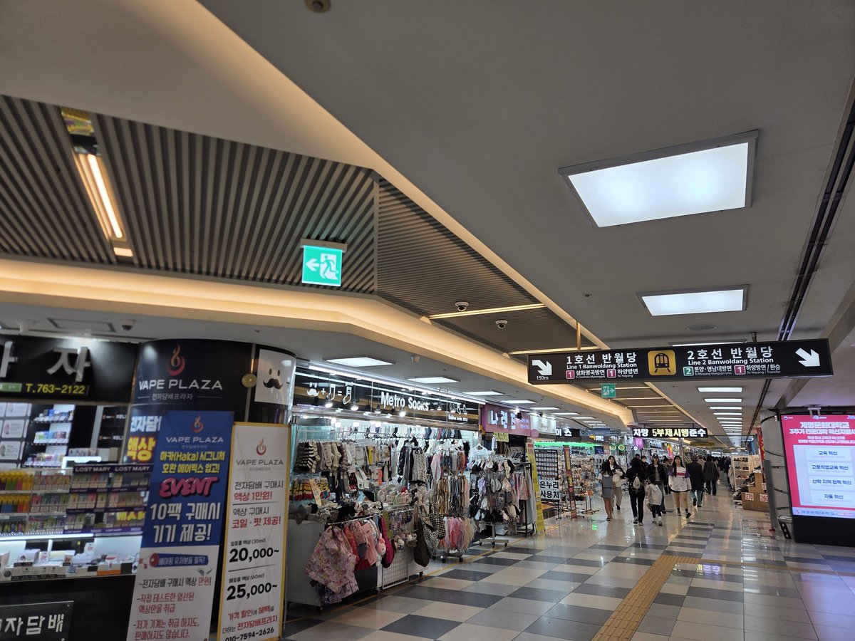 猫 tweet media