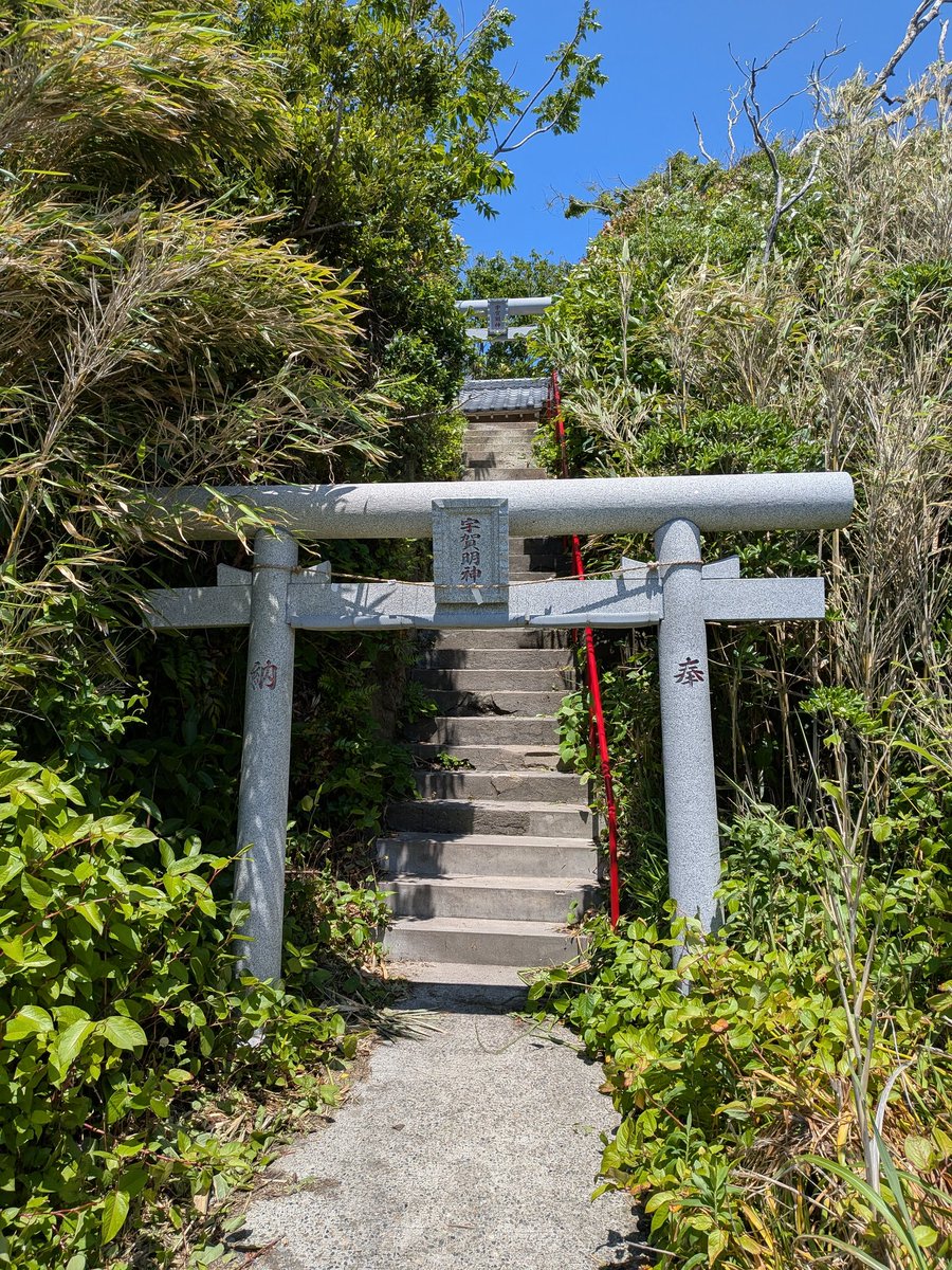 ヴ王ﾌﾌｰﾁｬﾁｬ tweet media