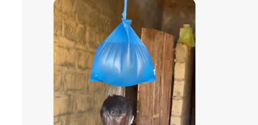princes59895830's tweet image. #idea once we visualize our time on earth 
   as finite like the water in the blue plastic bag
     we choose to be kind rather than hateful
        care for others more,
           teach the young generation when they listen
              and #humor keep bashing BAD politicians