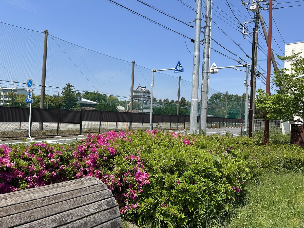 仕事サボってお散歩中たが。GWどこ吹く風の圧倒的な閑散感。これだから埼玉は良い。