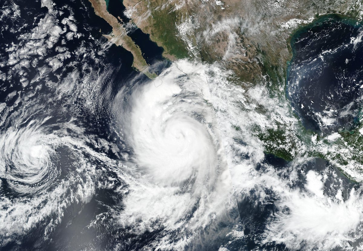 SinaStorm MX tweet media