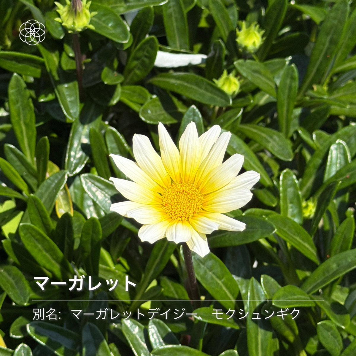 にゅるるん tweet media