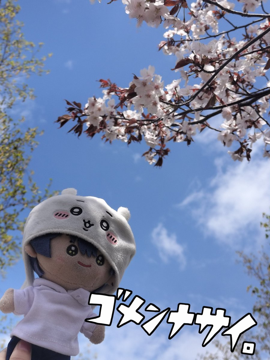 あやめ🐼📢GW布教企画🫙🌊開催中 tweet media