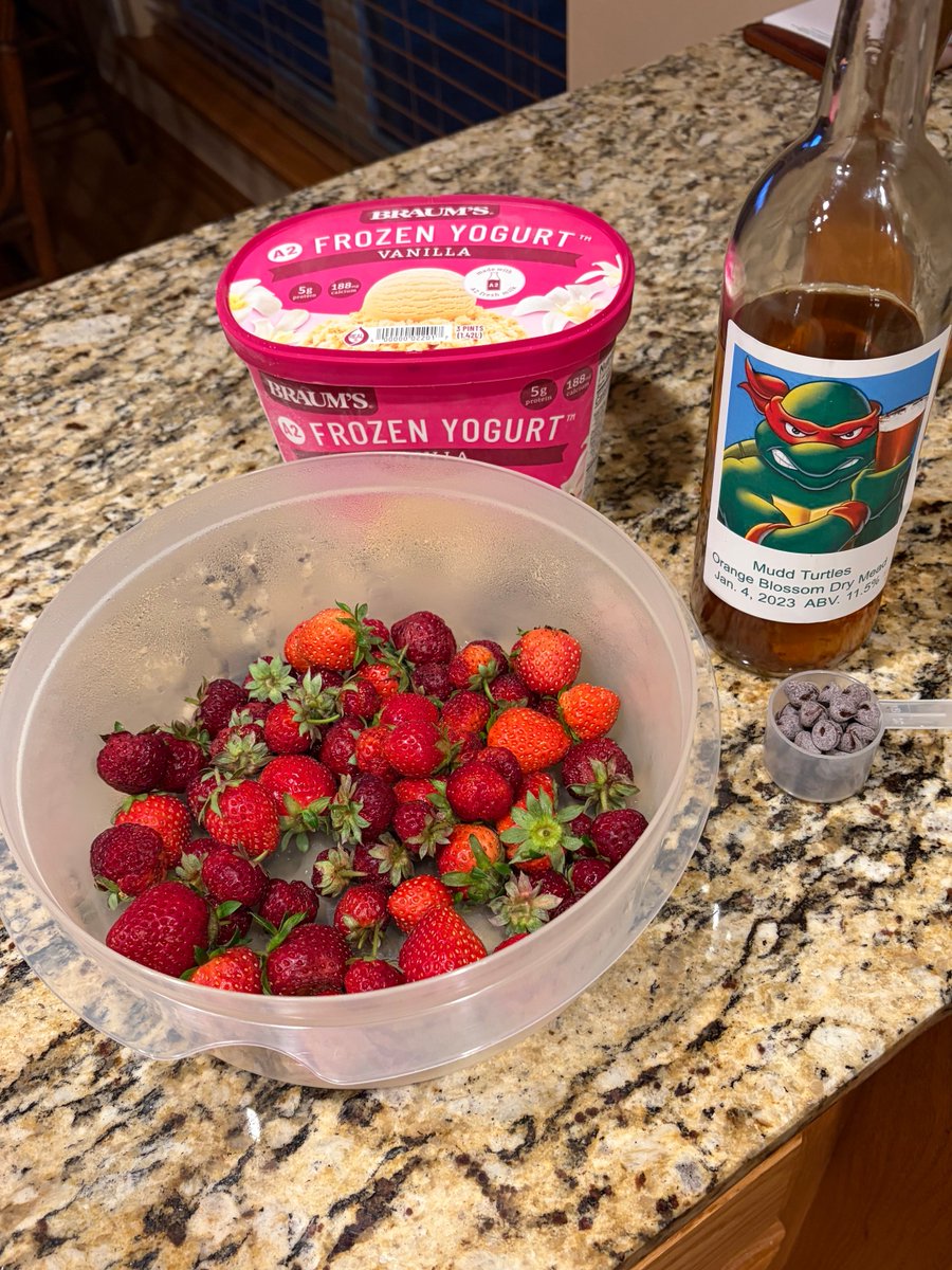 DToddWhitney's tweet photo. New smoothie.  Fresh picked strasberries, chocolate chips and strasberry mead. https://t.co/o94wRvsuI8