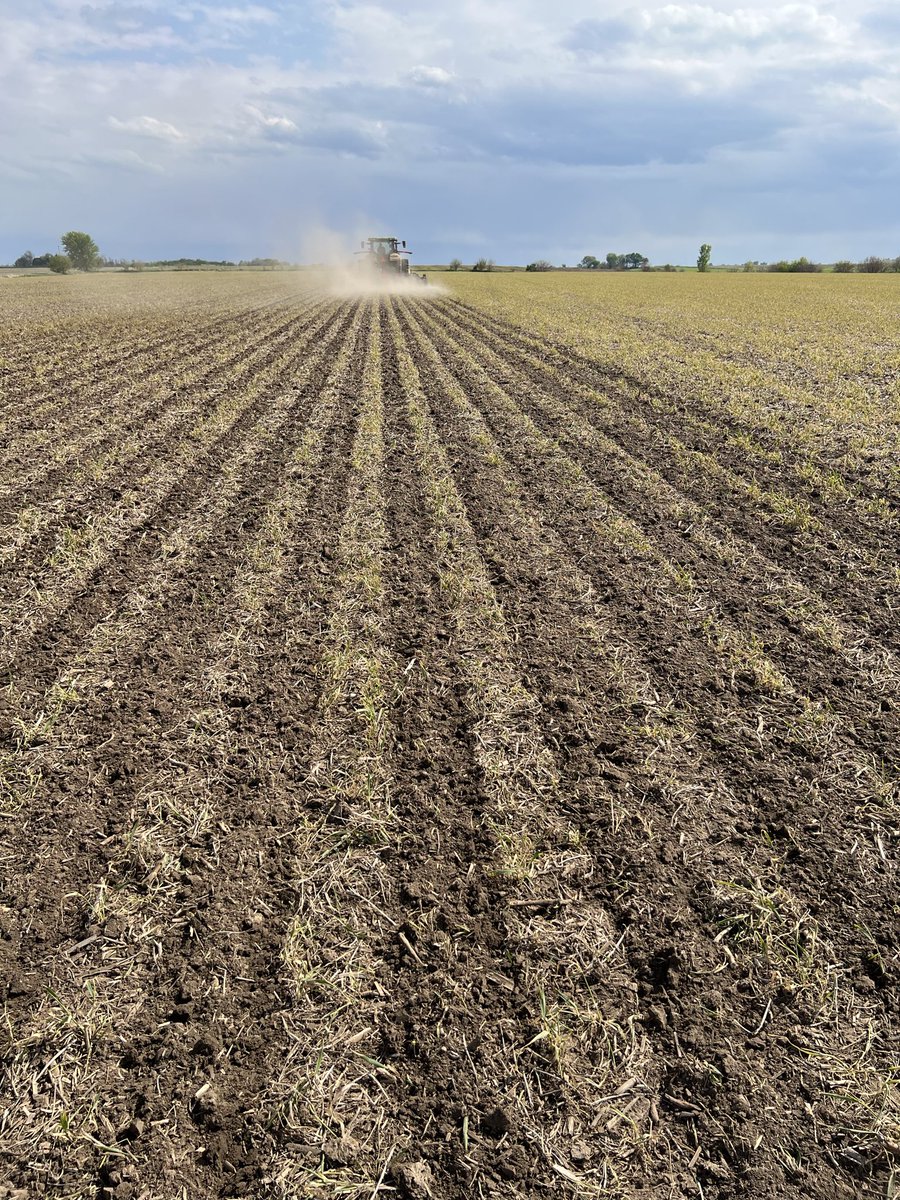 AGandythompson's tweet image. 20” strip till today in Western IL with @YetterFarmEquip Strip Freshener CC bar. #beautifulseedbed #striptill