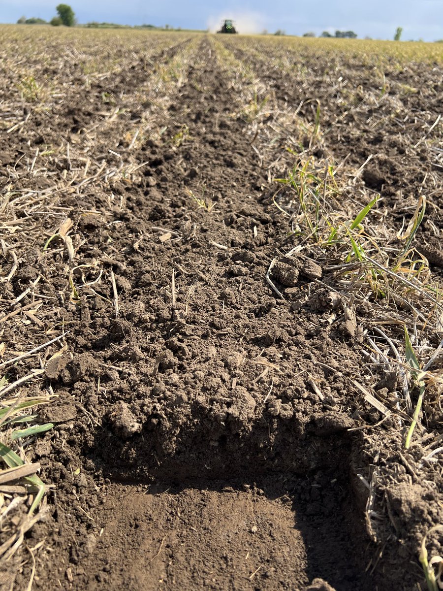 AGandythompson's tweet image. 20” strip till today in Western IL with @YetterFarmEquip Strip Freshener CC bar. #beautifulseedbed #striptill