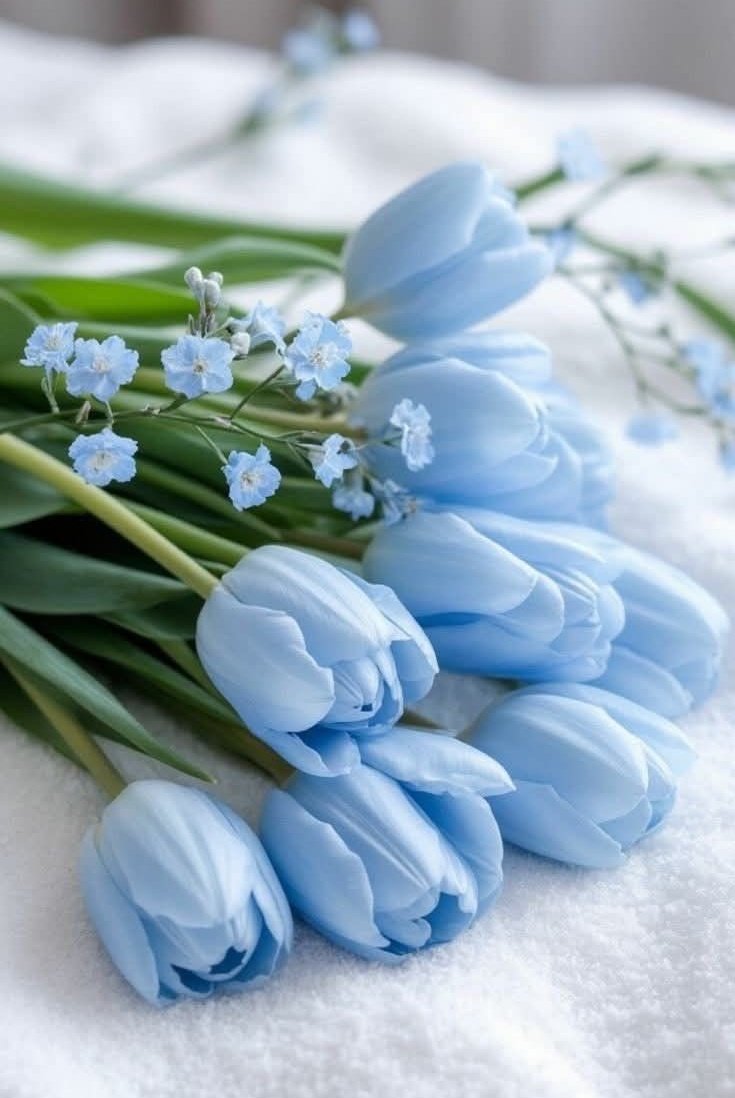 DIPTI 💫 tweet media