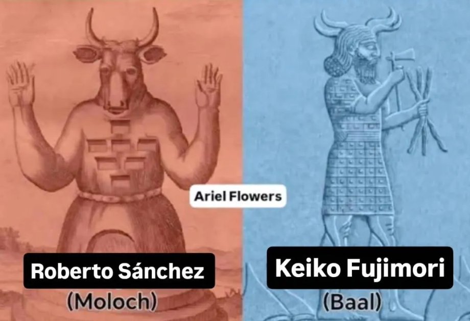 MGoblinciano's tweet image. Estas elecciones es para decidir quien chucha quieres que te robe, o un cojudo que se hace pasar por provinciano humilde usando sombrero o una gorda de mierda que no tiene nada que hacer con su vida #peru #onpe