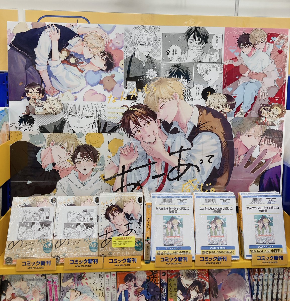 BL 漫画 セット アニメイト特典付き 25冊 アニメイトだけの特典付き!! BL・ブロマンス作品「アニメイトセット