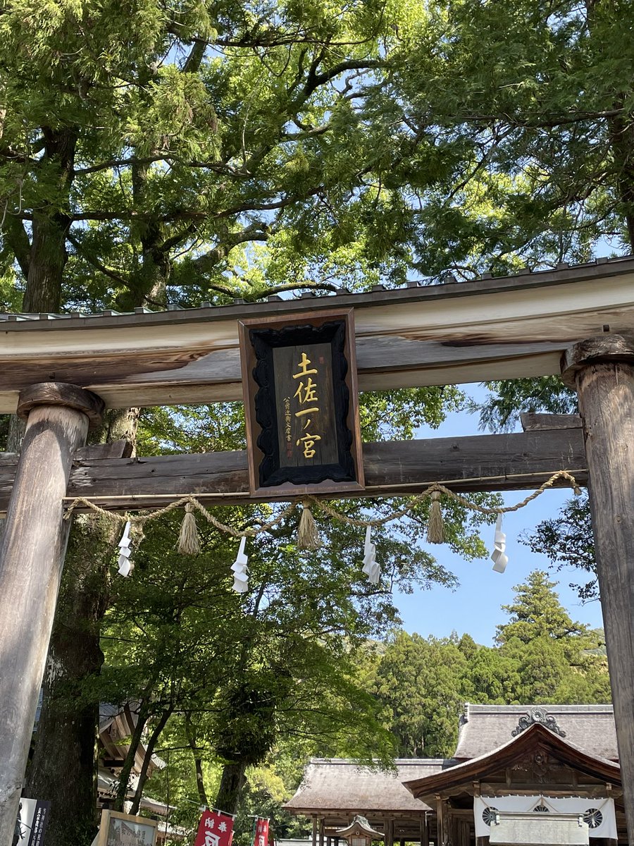 けろっくす🍀 tweet media