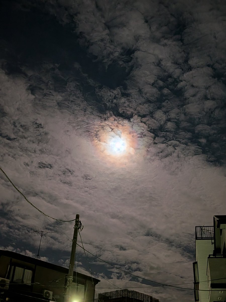 凛太郎 tweet media