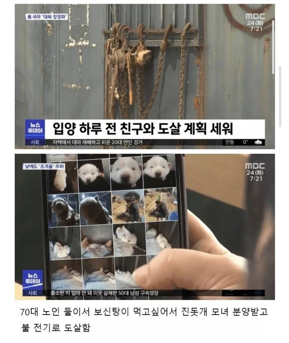 진돗개를 분양받아 잡아먹은 70대 레전드

먹을게 없을 옛시절에 동고동락하던 반려견이라도 어떻게 해서든 먹어야했던 가난한 시절을 지나서 돈 벌겠다고 만든 개고기의 효능 이딴 헛소리에 가스라이팅 당해버린 세대들을 어떻게 바꾸겠나 싶음..

소고기랑 돼지고기랑 아무 차이도없다고 들었는데