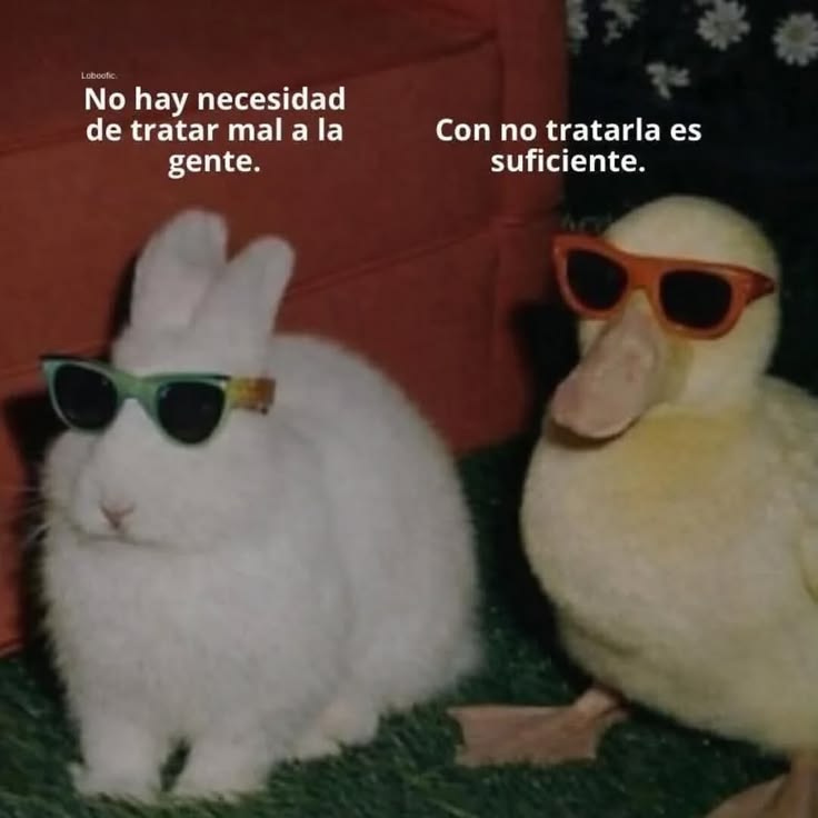 Paco Durán tweet media