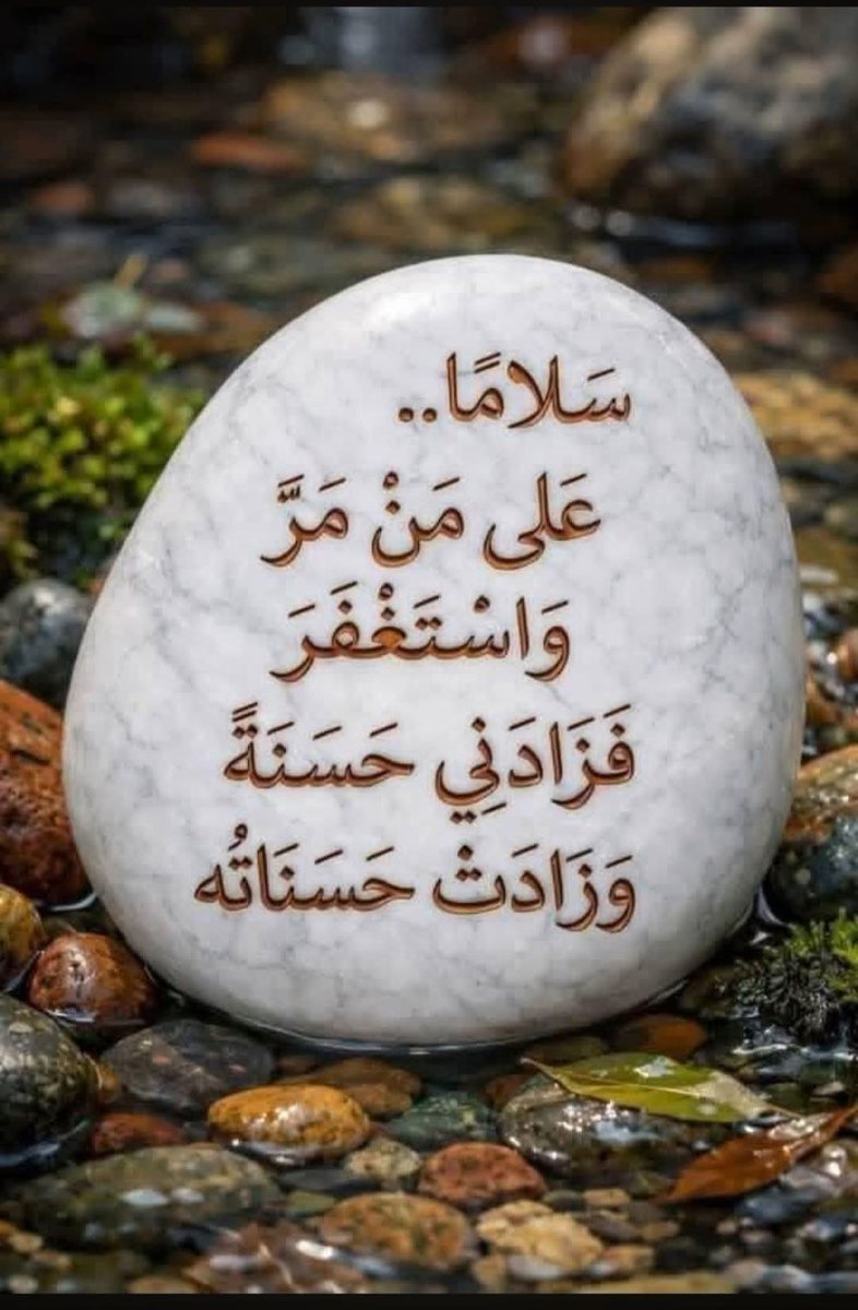 صنعانيه جامعيه tweet media