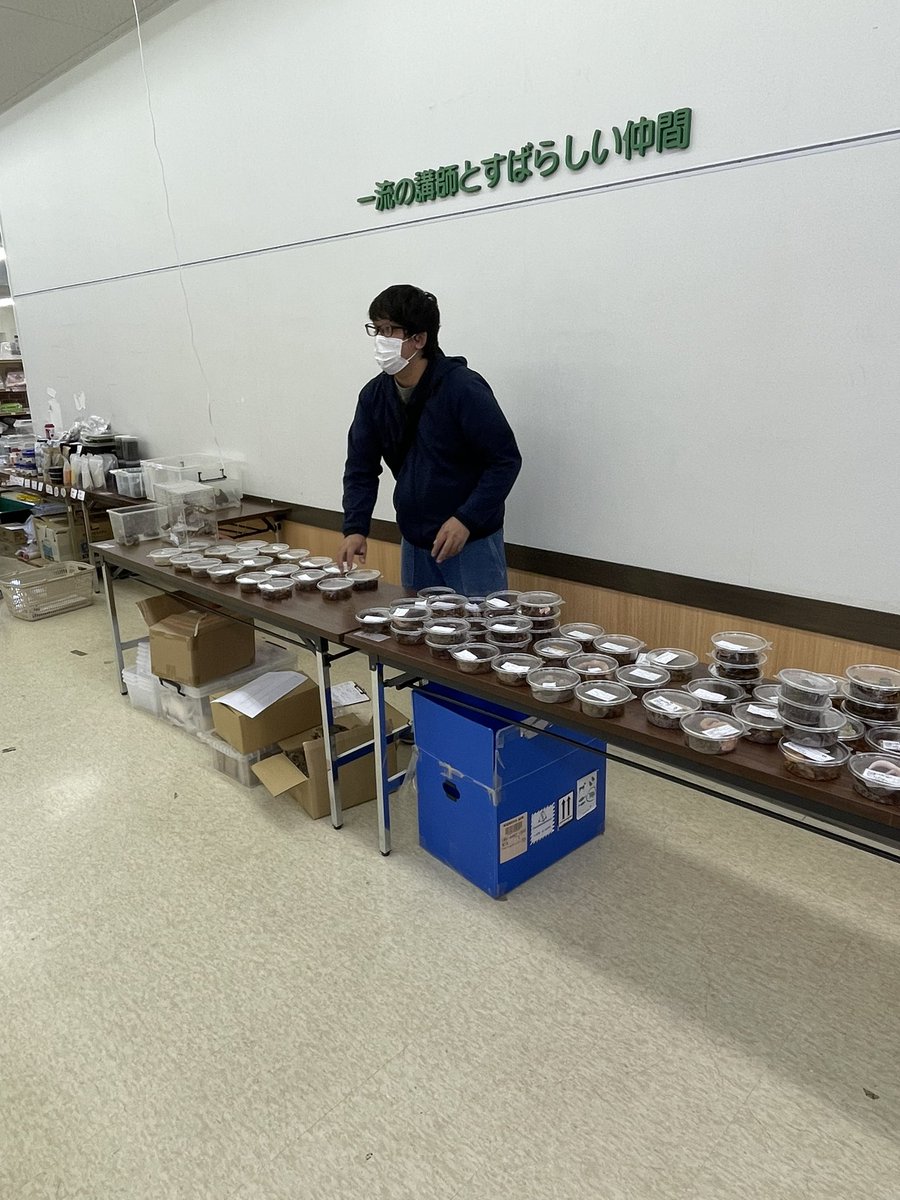 petshop_scale's tweet photo. レプスモin清州、始まりました。2日間、よろしくお願いします。 https://t.co/XcC0rUXqog